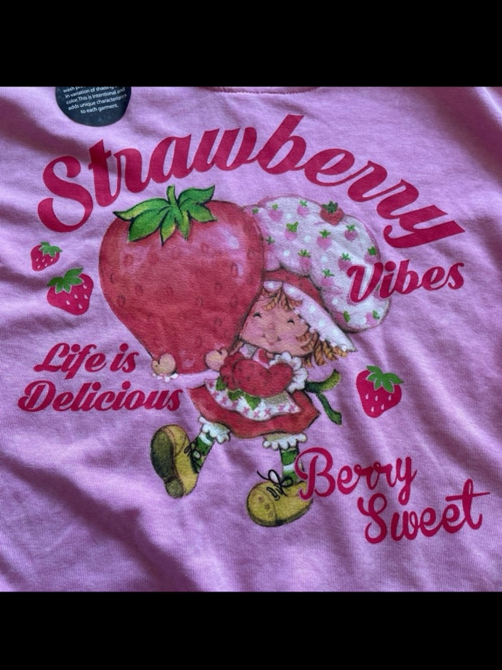 Girls 5T Strawberry Shortcake Hoodie Set - Picture 4 of 12